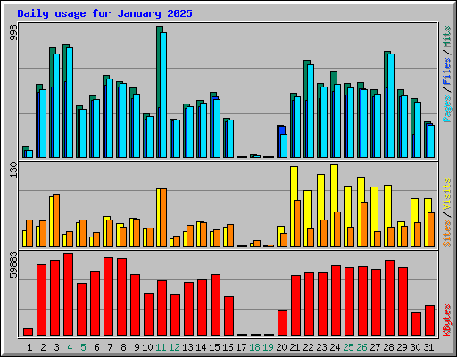 Daily usage for January 2025