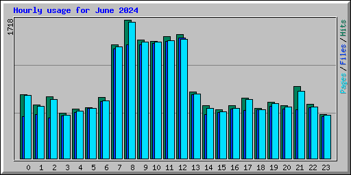 Hourly usage for June 2024