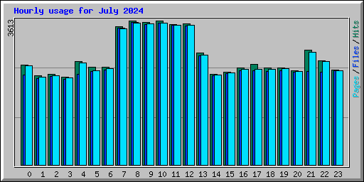 Hourly usage for July 2024