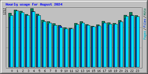 Hourly usage for August 2024