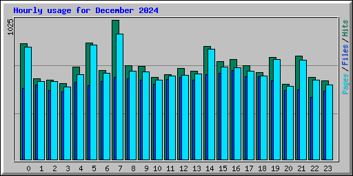 Hourly usage for December 2024