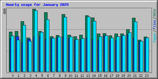 Hourly usage for January 2025