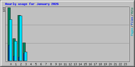Hourly usage for January 2026