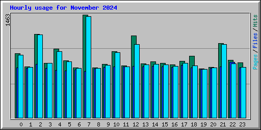 Hourly usage for November 2024