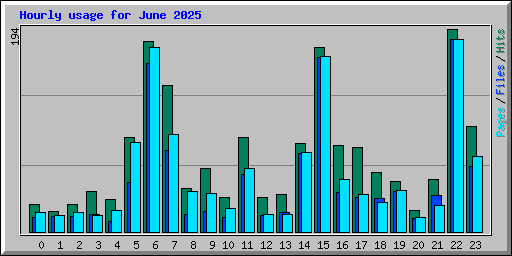 Hourly usage for June 2025